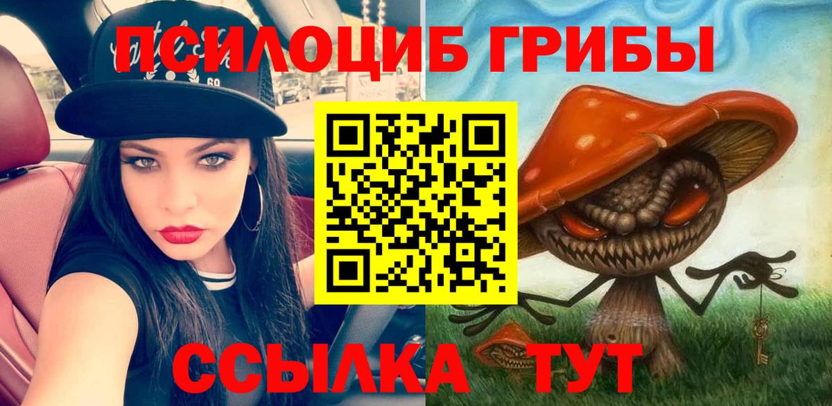 наркотики  Галлюциногенные грибы Psilocybine cubensis  Вход с VPN  Вятские Поляны 